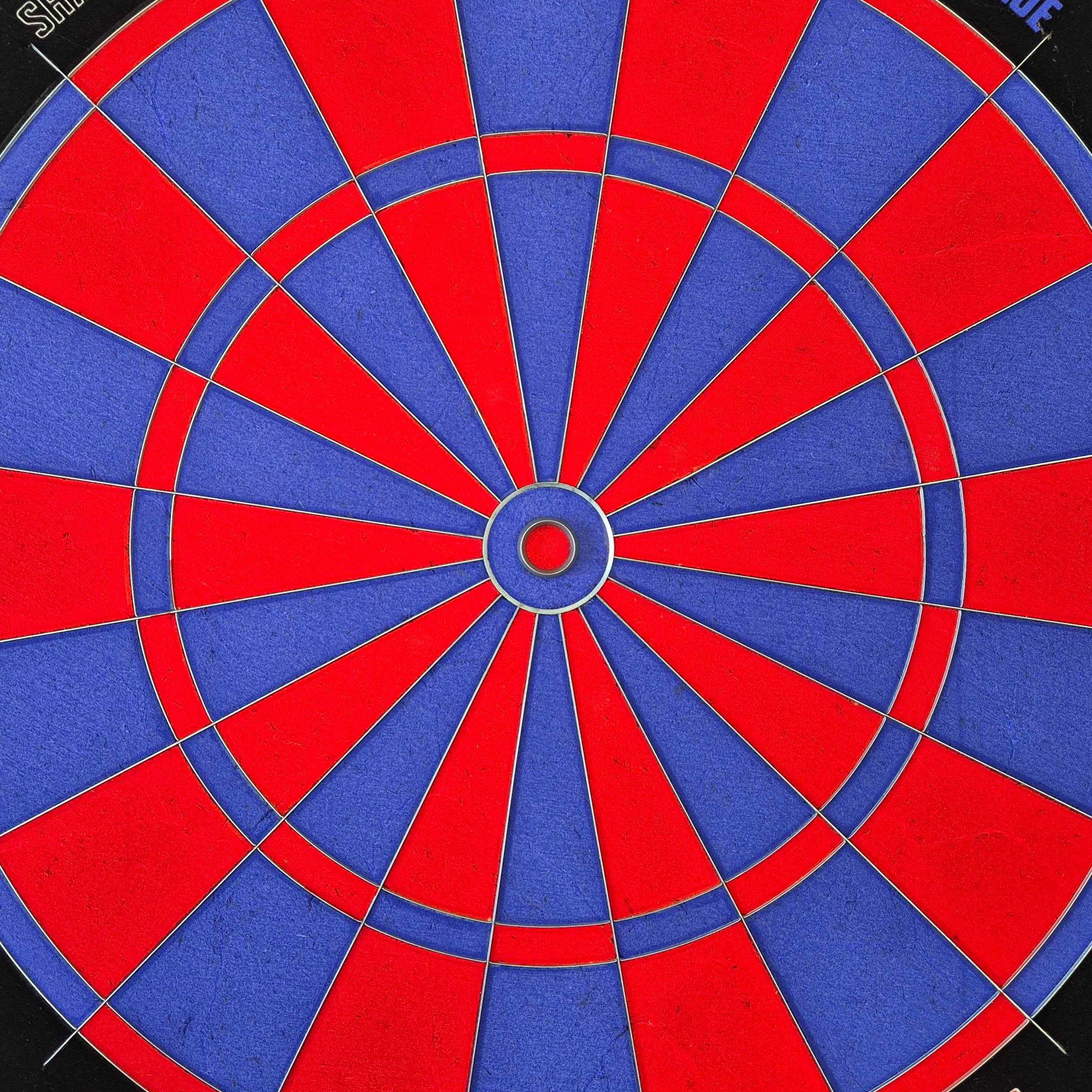 Bulls NL Shark Blue Pro steel dartboard
