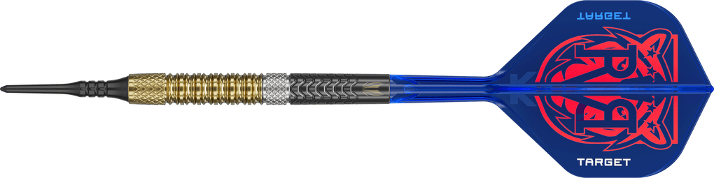 Target Raymond Van Barneveld GEN6 soft darts