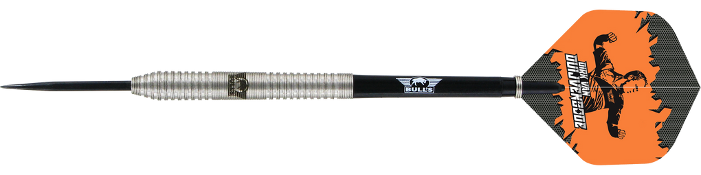Bulls NL Dirk van Duijvenbode steel darts