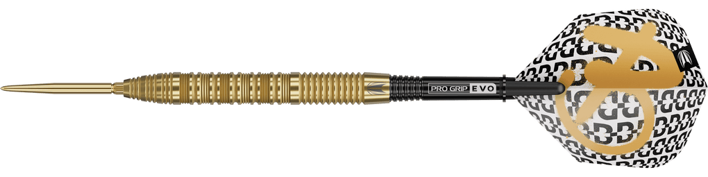 Target Bolide Envy 01 Swiss Point steel darts