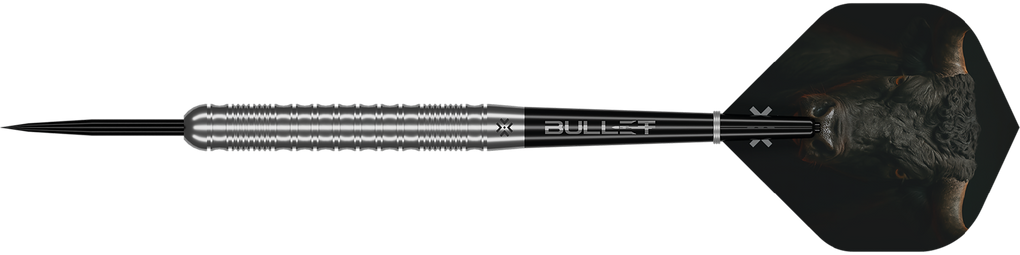 Bullet Fury steel darts