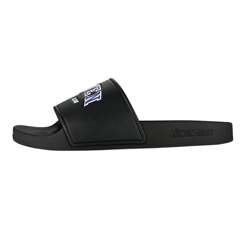 Löwen Collection DARTIletten Dieses Foto stellt die Löwen Kollektion DARTIletten Schuhe dar. Ideal geeignet für Liebhaber des Dartsports.