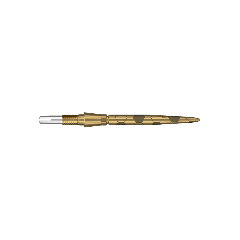 Das Bild zeigt eine goldfarbene Dartspitze mit feinen eingravierten Mustern. Sie hat eine schlanke, spitz zulaufende Form und ist 26 mm lang.