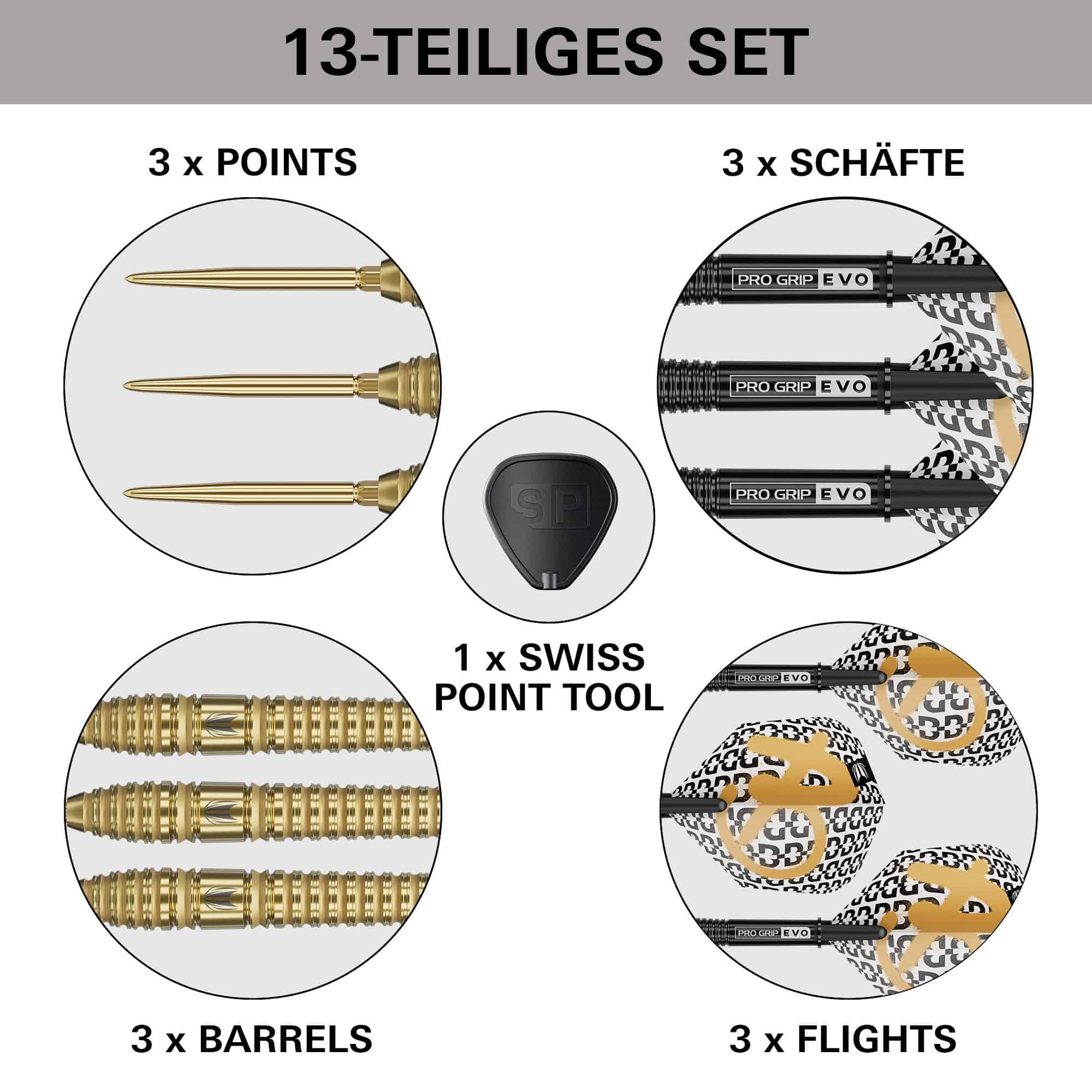 Target Bolide Envy 03 Swiss Point steel darts Target Bolide Envy 03 Swiss Point Steeldarts, abgebildet auf dem Produktbild. Es handelt sich um Steeldarts mit Swiss Point System.