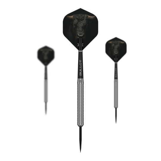Dieses Bild präsentiert die Bullet Fury Steel Darts. Diese Steeldarts zeichnen sich durch ihre Robustheit aus.