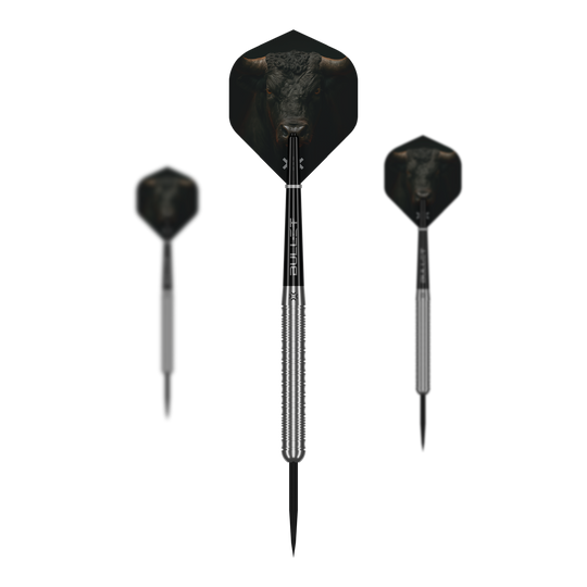 Bullet Fury steel darts Dieses Bild präsentiert die Bullet Fury Steel Darts. Diese Steeldarts zeichnen sich durch ihre Robustheit aus.