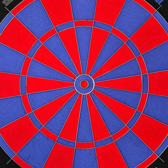 Bulls NL Shark Blue Pro steel dartboard Bulls NL Shark Blue Pro steel dartboard