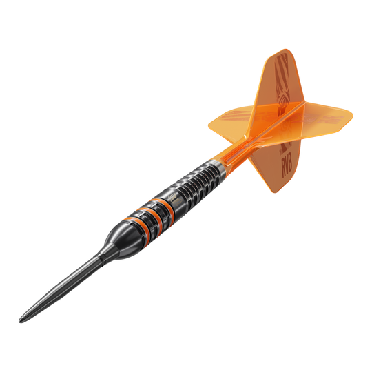Target Raymond Van Barneveld 95K Swiss Points Steel Darts