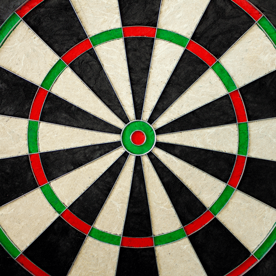 McDart Scopus Master dartboard