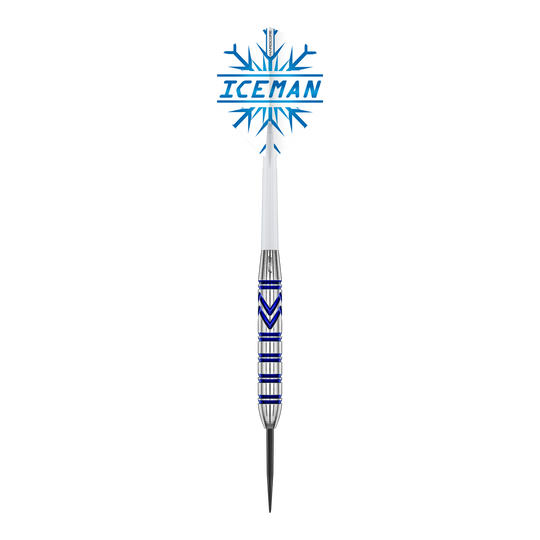 Red Dragon Gerwyn Price Brass Steel Darts - 21 g Red Dragon Gerwyn Price Brass Steeldarts - 21 g sind auf dem Foto zu sehen. Die Steeldarts zeichnen sich durch ihr elegantes Aussehen aus.
