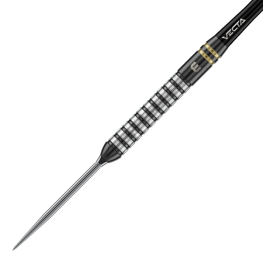 Winmau Gian Van Veen TS Switch Point steel darts Das Foto zeigt Winmau Gian Van Veen TS Switch Point Steeldarts. Der Dartpfeil ist detailliert abgebildet.