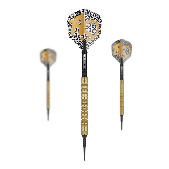 Abgebildet ist ein Set der Target Bolide Envy 10 Softdarts. Das Set umfasst hochwertige Softdarts für den Dart-Sport.