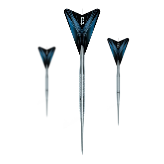 Caliburn TTD Complete Titanium T3 Silver Steeldarts - 7g Zu sehen ist das Set Caliburn TTD Complete Titanium T3 Silver Steeldarts - 7g. Es handelt sich um ein silbernes Dartset aus Titan mit einem Gewicht von 7 Gramm pro Dart.