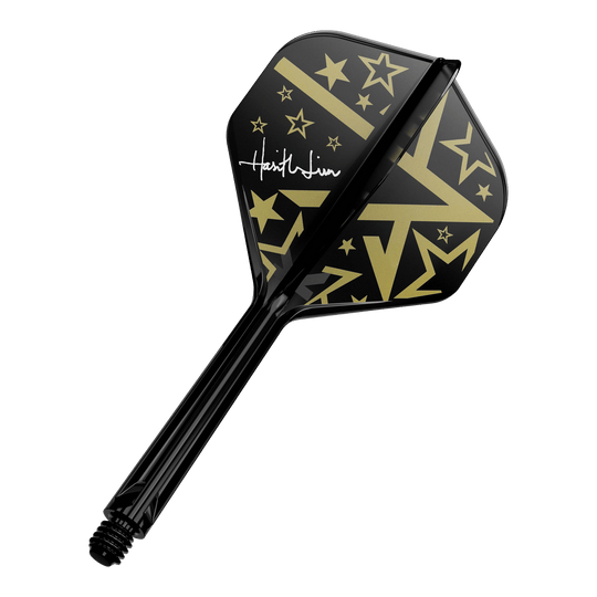 Dies ist ein schwarzer Dartschaft mit einem Flight in Schwarz und Gold. Das Flight-Design zeigt goldene Sterne und geometrische Muster sowie eine weiße Unterschrift.