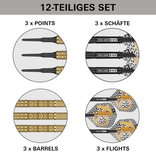 Target Bolide Envy 10 soft darts Das Bild zeigt die Target Bolide Envy 10 Softdarts. Diese Softdarts sind für den elektronischen Dartsport entworfen.