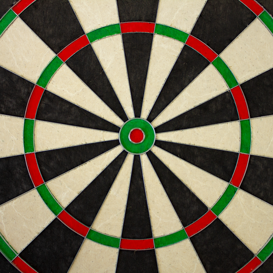 Bulls Focus II Plus Steeldartboard