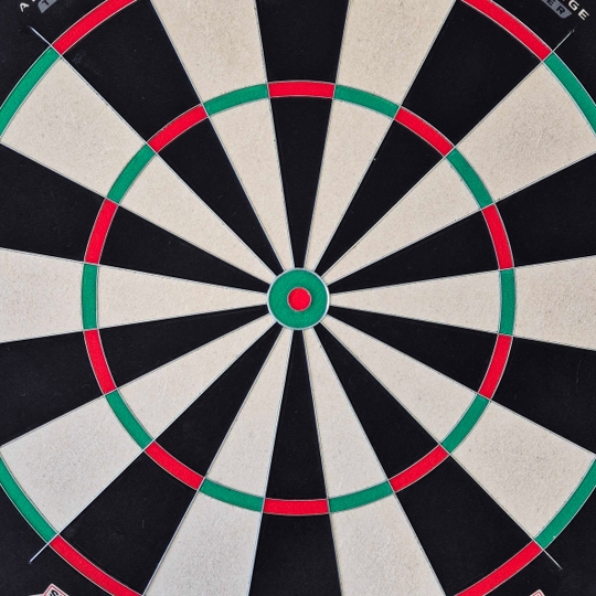 Bulls NL Advantage 8 TRAINER steel dartboard