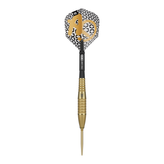 Target Bolide Envy 05 Swiss Point steel darts Gezeigt werden die Target Bolide Envy 05 Swiss Point Steeldarts. Die Darts sind detailliert abgebildet und heben das moderne Design hervor.