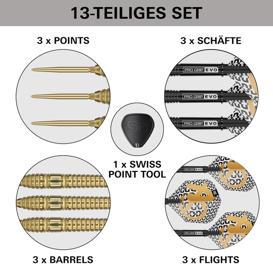 Target Bolide Envy 03 Swiss Point steel darts Target Bolide Envy 03 Swiss Point Steeldarts, abgebildet auf dem Produktbild. Es handelt sich um Steeldarts mit Swiss Point System.